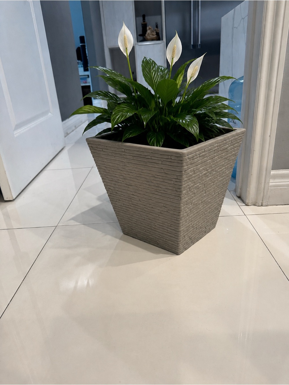 Textured White Brick Planter Vase